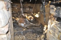 Tek Geçim Kaynağını Kaybedince Gözyaşlarına Boğuldu