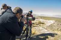 Van'da Doğu'nun Kanatları Van Erçek Gölü Flamingo Festivali