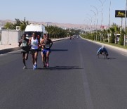 YUSUF ZİYA ÇELİKKAYA - 5. Göbeklitepe Yarı Maraton Koşusunda Ödüller Sahiplerini Buldu