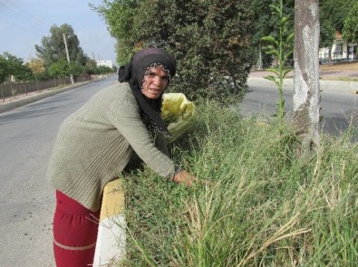 Diyarbakırlı Hasibe'nin Aydın'daki Yaşam Savaşı