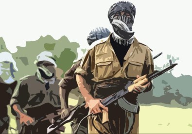 Muş'ta çatışma: 1 terörist öldürüldü