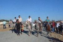 Türkoğlu'nda At Yarışları