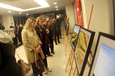 EFOD Sergisine Yoğun İlgi