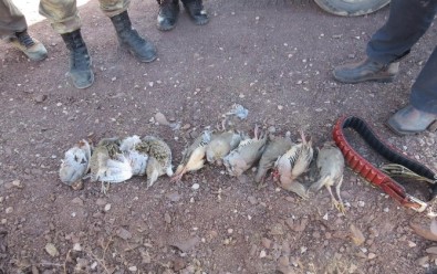 Erzincan'da Avlanma Limitini Aşan Avcılara Ceza Yağdı