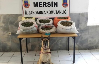 Mersin'de Uyuşturucu Operasyonu