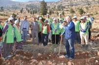 Orman Bölge Müdürlüğü, Toroslar'ın Çatısını Ağaçlandırıyor