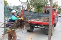 Sakarya'da Ağaçlar Budanıyor