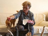 SOKAK HAYVANI - 80 kedisiyle kiralık ev arıyor