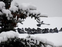 Kar yağışı bekleniyor