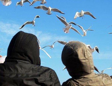 Martıya simit atarken denize düştü