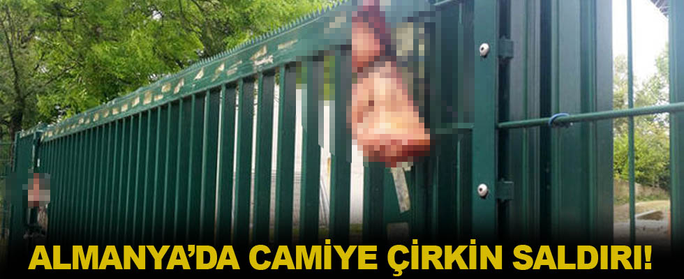 Almanya'da caminin önüne domuz kafası bırakıldı