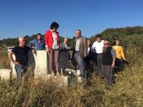 NURHAYAT ALTACA - Çiftçilerin Ürünlerini, Bor Ve Tuz Mu Kurutuyor?