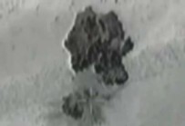 Faraşin'de 5 Terörist Daha