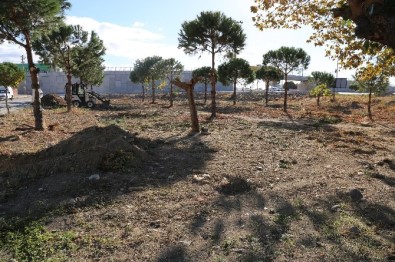 Ahmet Çelik Parkı İçin Çalışmalar Başladı