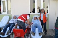 SENDİKA BAŞKANI - Bozyazı'da Orman Personeli Kan Bağışında Bulundu