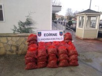 Edirne 1 Ton 750 Kilogram Kaçak Midye Ele Geçirildi