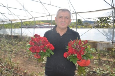 Fatsa'daki Kesme Çiçekçilerin Sorunları