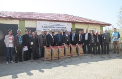 Hisarcık'ta 29 Çiftçiye Macar Fiğ Tohumu Dağıtıldı
