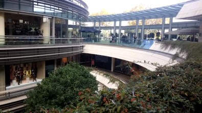 Lüks AVM'de Profesöre Yarasa Şoku !