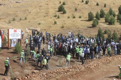 Mardin'de 15 Temmuz Şehitleri Anısına Hatıra Ormanı Oluşturuldu