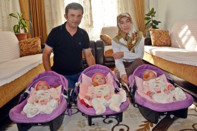 'Tek'e Niyet 3'E Kısmet