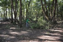 KÖSEKÖY - Köseköy Mahallesi'ne Yeni Mesire Alanı