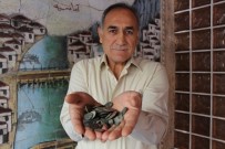 Köylülerden Aldığı 2 Bin Yıllık Sikkeleri Müzeye Verdi