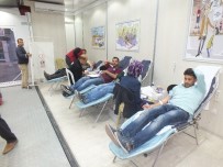 Malazgirt'te Kan Bağışı Kampanyası