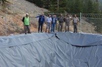 MAHMUT YıLMAZ - Ormanlar Gelir Getirici Türlerle Dolduruluyor