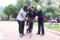 ATLANTIS - 16 Yıl Sonra İlk Kez Adım Attı, Ailesini Sevince Boğdu