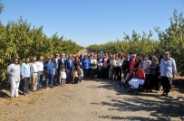 TARıM İŞLETMELERI GENEL MÜDÜRLÜĞÜ - TİGEM Çukurova Çiftliği'nde Dünya Çiftçi Kadınlar Günü Kutlaması