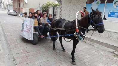 At Arabasında İstanbul'a Sanat Yolculuğu