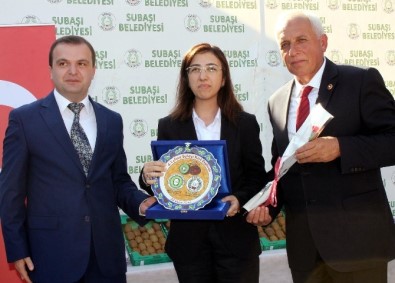 Yalova'da Kivi Hasadının Startı Verildi