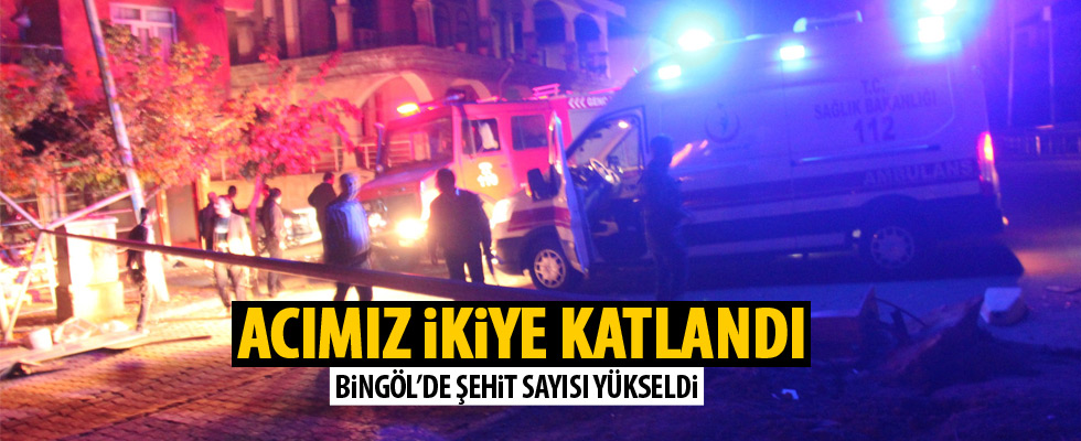 Bingöl'de hain saldırı