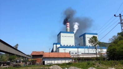 Çatalağzı Ve Muslu'daki Termik Santral Başvurusu İle ÇED Süreci Durduruldu