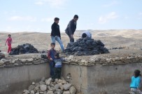 Muş'ta Toprak Evlerde Kış Hazırlığı