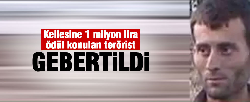 Başına 1 milyon TL ödül konulan terörist öldürüldü