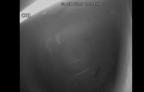 Sevgilisinin kocasını böyle öldürdü