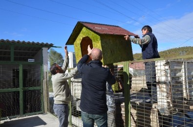 Bozüyük Belediyesi Geçici Hayvan Bakımevi'ne Yeni Köpek Kulübeleri