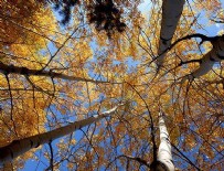 Doğu Anadolu'da sıcaklıkta düşüş sürüyor