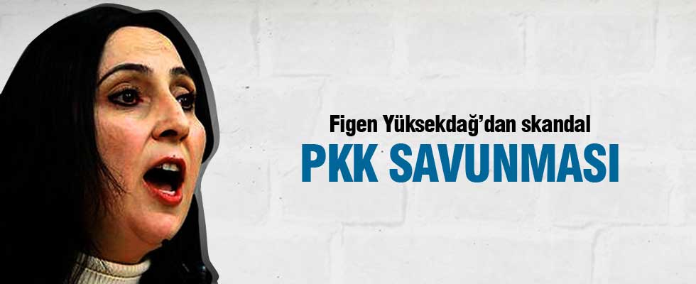 Figen Yüksekdağ'dan skandal PKK savunması