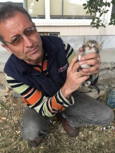 Sorgun'da Kedi Yavrularına İtfaiye Ekipleri Sahip Çıtı
