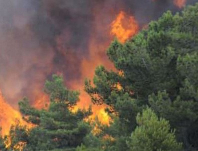 Teröristler orman yangını çıkardı