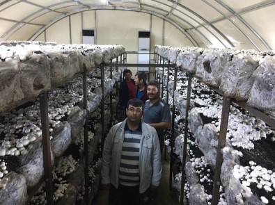 Beyşehir'de Hibeden Yararlanan Genç Çiftçiler Kültür Mantarı Yetiştiriyor