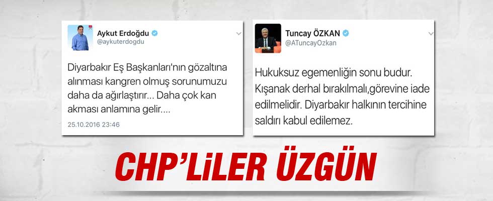 CHP'li vekiller Gülten Kışanak için üzüldü