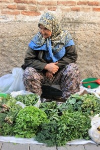 Kazdağları'nın yabani otları şifa kaynağı