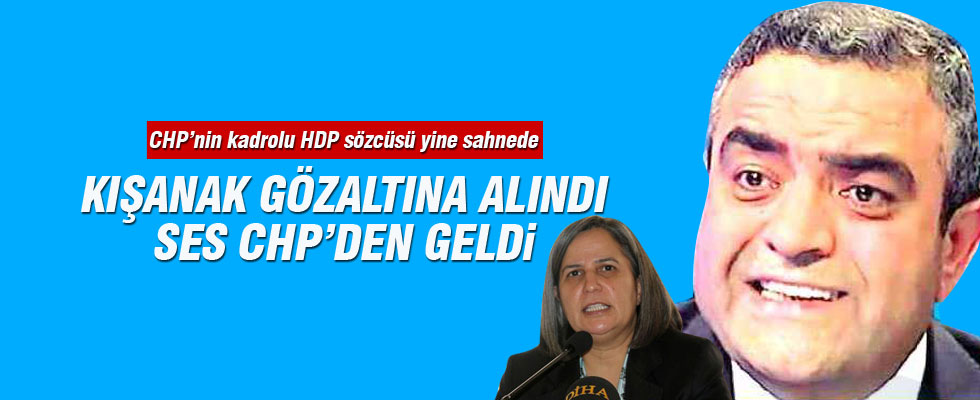 Sezgin Tanrıkulu'ndan Kışanak tepkisi