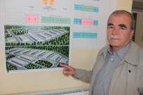 ÇUKURKÖY - Tavşanlı Küçük Sanayi'de İş Yeri Başvuruları Devam Ediyor