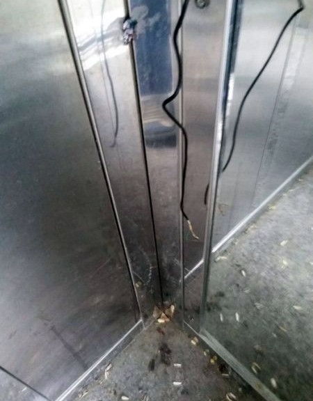 Engelli asansörünü parçalayıp idrarlarını yaptılar