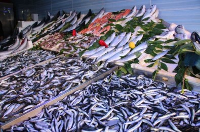 Bilecik'te Balık Fiyatları Cep Yakıyor